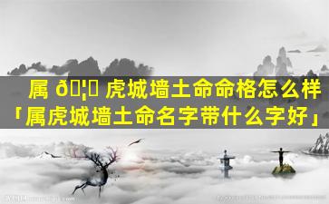 属 🦆 虎城墙土命命格怎么样「属虎城墙土命名字带什么字好」